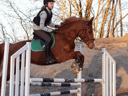 IMG-2165-027-MOTION